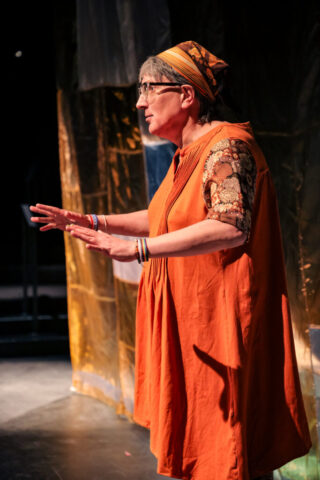An image of Lara Rae, the narrator, speaking to the audience.